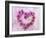 Heart of Pink Asters-Friedrich Strauss-Framed Photographic Print