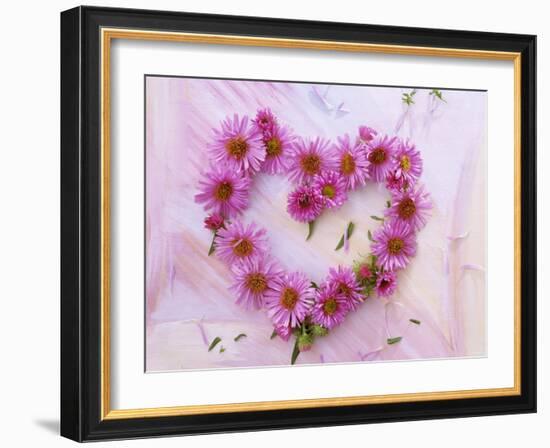 Heart of Pink Asters-Friedrich Strauss-Framed Photographic Print