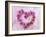 Heart of Pink Asters-Friedrich Strauss-Framed Photographic Print