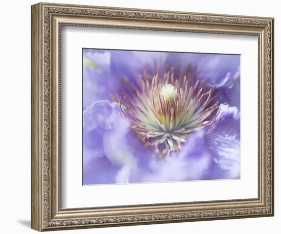 Heart of the Camellia I-Gillian Hunt-Framed Photographic Print