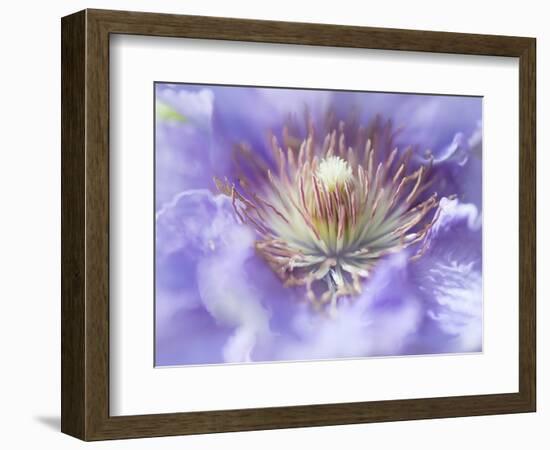 Heart of the Camellia I-Gillian Hunt-Framed Photographic Print