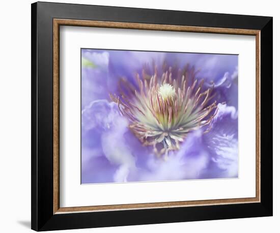 Heart of the Camellia I-Gillian Hunt-Framed Photographic Print