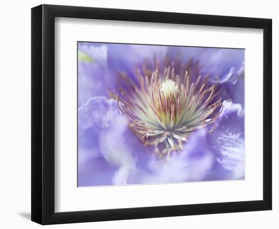 Heart of the Camellia I-Gillian Hunt-Framed Photographic Print