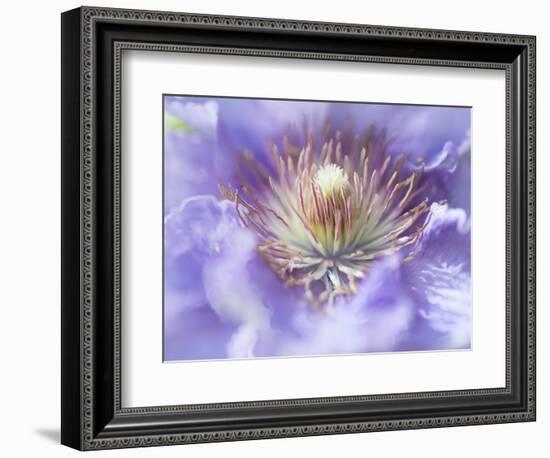 Heart of the Camellia I-Gillian Hunt-Framed Photographic Print