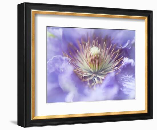 Heart of the Camellia I-Gillian Hunt-Framed Photographic Print