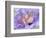 Heart of the Camellia III-Gillian Hunt-Framed Photographic Print