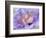 Heart of the Camellia III-Gillian Hunt-Framed Photographic Print