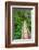 Heart of the Forest Trail Boardwalk Olympic National Park.-Alan Majchrowicz-Framed Photographic Print