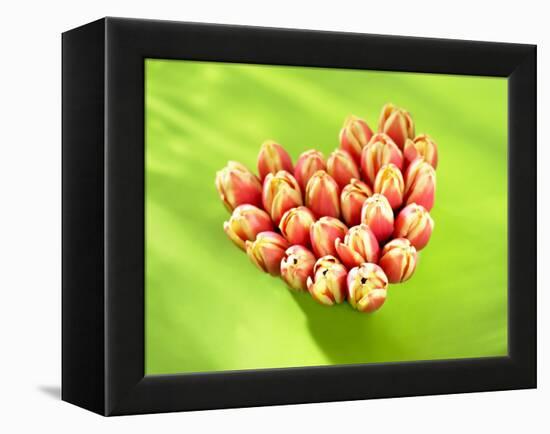 Heart of Tulips-Klaus Arras-Framed Premier Image Canvas