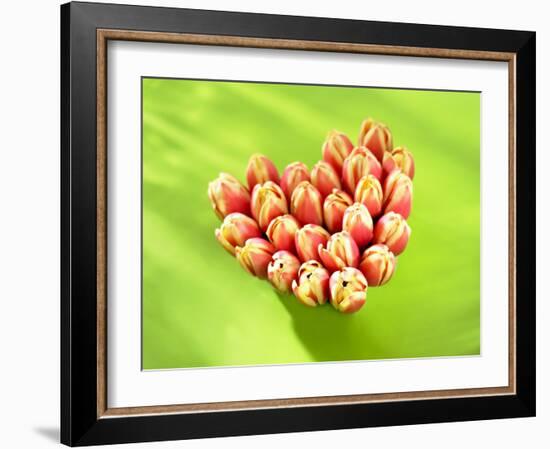 Heart of Tulips-Klaus Arras-Framed Photographic Print