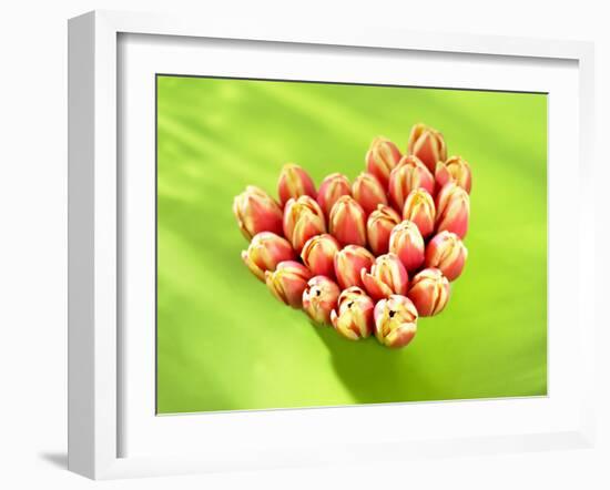 Heart of Tulips-Klaus Arras-Framed Photographic Print