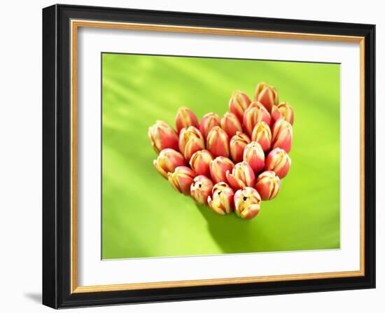 Heart of Tulips-Klaus Arras-Framed Photographic Print