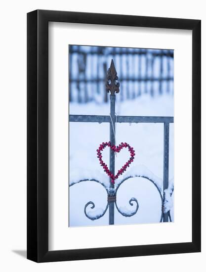 Heart on the Fence and Snow-Andrea Haase-Framed Photographic Print