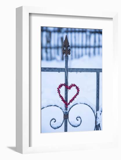 Heart on the Fence and Snow-Andrea Haase-Framed Photographic Print