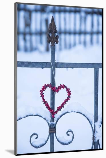 Heart on the Fence and Snow-Andrea Haase-Mounted Photographic Print