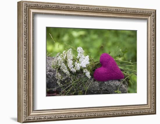 Heart, Pink, Flowers, Wild Chervil, Green-Andrea Haase-Framed Photographic Print