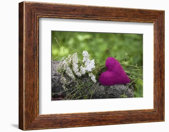 Heart, Pink, Flowers, Wild Chervil, Green-Andrea Haase-Framed Photographic Print