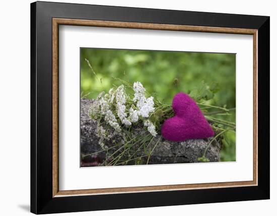 Heart, Pink, Flowers, Wild Chervil, Green-Andrea Haase-Framed Photographic Print