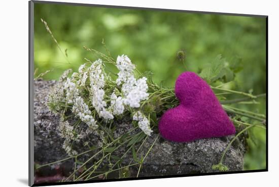 Heart, Pink, Flowers, Wild Chervil, Green-Andrea Haase-Mounted Photographic Print