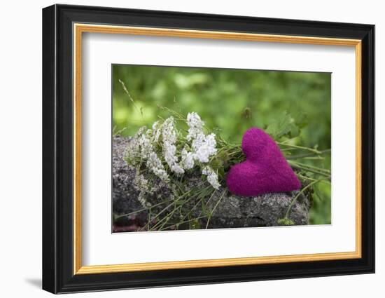 Heart, Pink, Flowers, Wild Chervil, Green-Andrea Haase-Framed Photographic Print