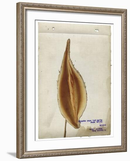 Heart Pod I-Chris Dunker-Framed Giclee Print