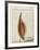 Heart Pod I-Chris Dunker-Framed Giclee Print