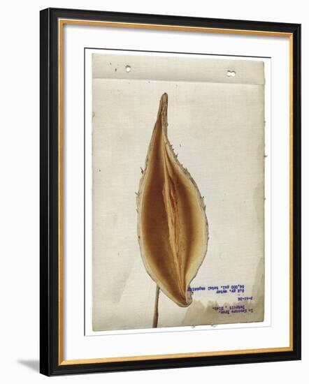 Heart Pod I-Chris Dunker-Framed Giclee Print