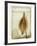 Heart Pod II-Chris Dunker-Framed Giclee Print