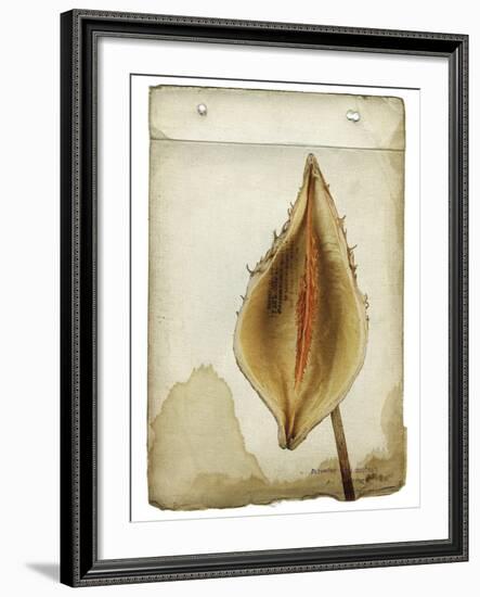 Heart Pod II-Chris Dunker-Framed Giclee Print