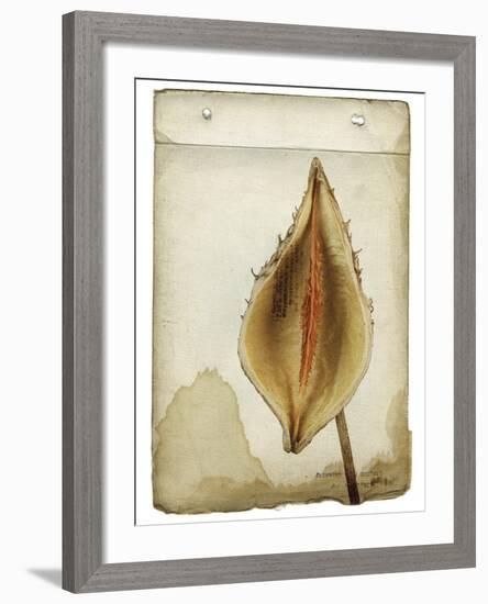 Heart Pod II-Chris Dunker-Framed Giclee Print