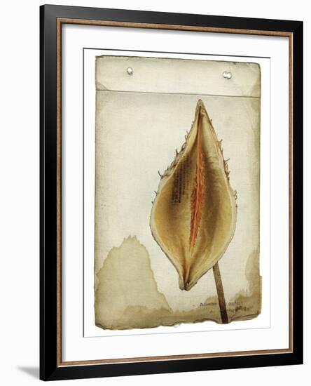 Heart Pod II-Chris Dunker-Framed Giclee Print