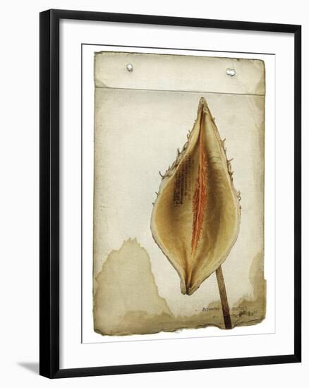 Heart Pod II-Chris Dunker-Framed Giclee Print