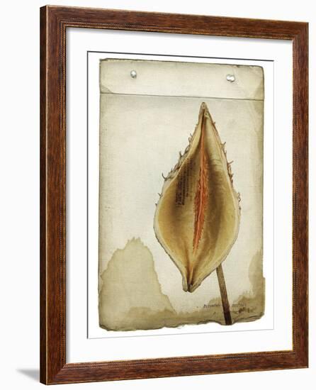 Heart Pod II-Chris Dunker-Framed Giclee Print