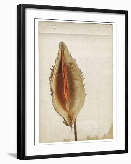 Heart Pod III-Chris Dunker-Framed Giclee Print