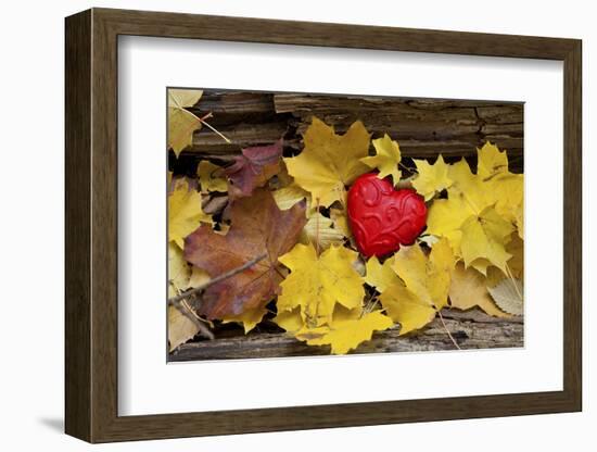 Heart, Red, Autumn Foliage-Andrea Haase-Framed Photographic Print