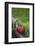 Heart, Red, Text, Flowers, Grass, Wild Chervil-Andrea Haase-Framed Photographic Print