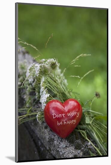 Heart, Red, Text, Flowers, Grass, Wild Chervil-Andrea Haase-Mounted Photographic Print