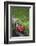 Heart, Red, Text, Flowers, Grass, Wild Chervil-Andrea Haase-Framed Photographic Print