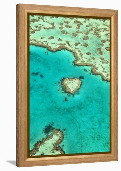 Heart Reef I-Larry Malvin-Framed Premier Image Canvas