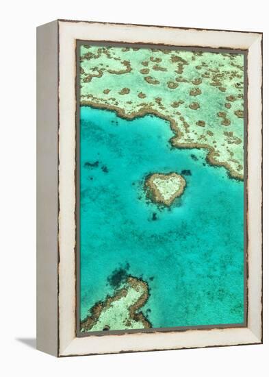 Heart Reef I-Larry Malvin-Framed Premier Image Canvas