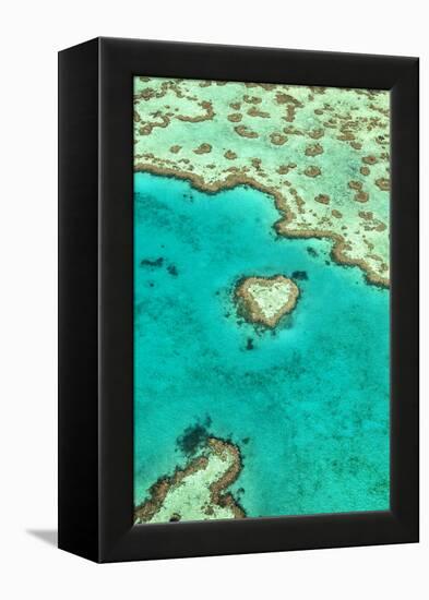 Heart Reef I-Larry Malvin-Framed Premier Image Canvas