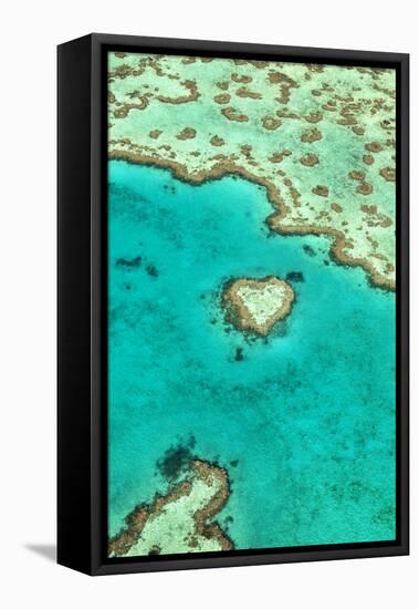 Heart Reef I-Larry Malvin-Framed Premier Image Canvas