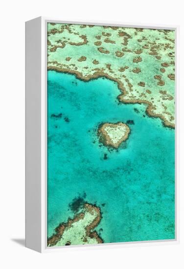 Heart Reef I-Larry Malvin-Framed Premier Image Canvas