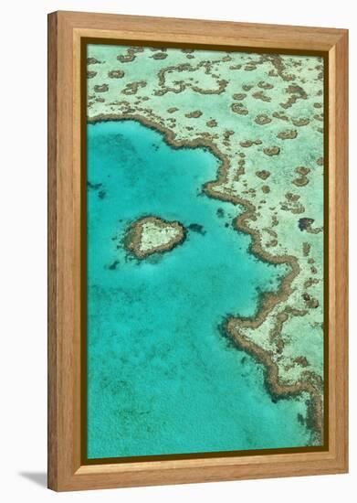 Heart Reef II-Larry Malvin-Framed Premier Image Canvas