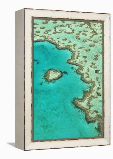 Heart Reef II-Larry Malvin-Framed Premier Image Canvas