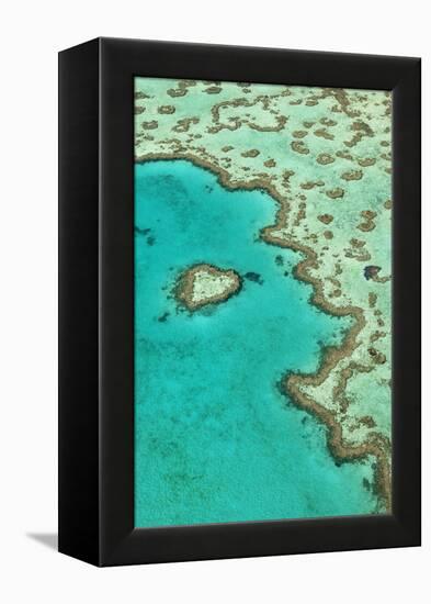 Heart Reef II-Larry Malvin-Framed Premier Image Canvas