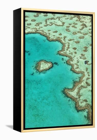 Heart Reef II-Larry Malvin-Framed Premier Image Canvas