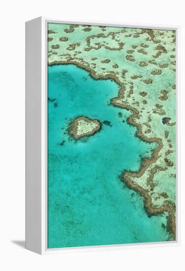 Heart Reef II-Larry Malvin-Framed Premier Image Canvas