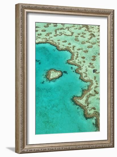 Heart Reef II-Larry Malvin-Framed Photographic Print