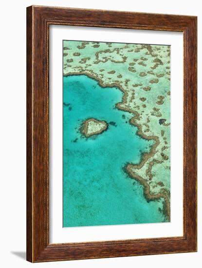 Heart Reef II-Larry Malvin-Framed Photographic Print